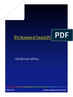 carlos_ralli_transitiontutorial.pdf