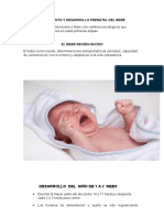 Crecimiento y Desarrollo Prenatal Del Bebé