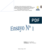 EnsayoNro1