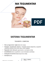 Sistema Tegumentar