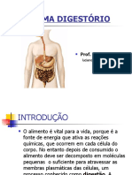 Sistema digestório: introdução e visão geral