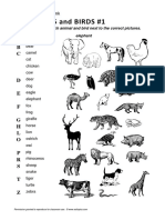 3.2 Esl Topics Word Bank Animals1 Pic