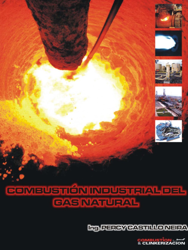Combustión Industrial Del Gas Natural PDF Combustión Oxígeno