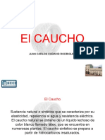 El_Caucho