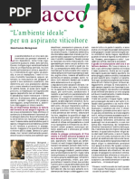 Ambiente Ideale Coltivazione Vite