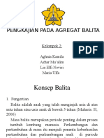 KELOMPOK 2 Agregat BALITA