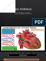 Ekg Normal Completo