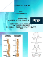 Cervical & CRS: Oleh: Kurrotun Ayni B