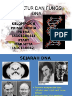 Struktur Dan Fungsi Dna