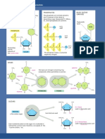 Nucleotides