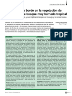 Efectos de Borde PDF