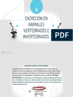 Excrecion en Animales