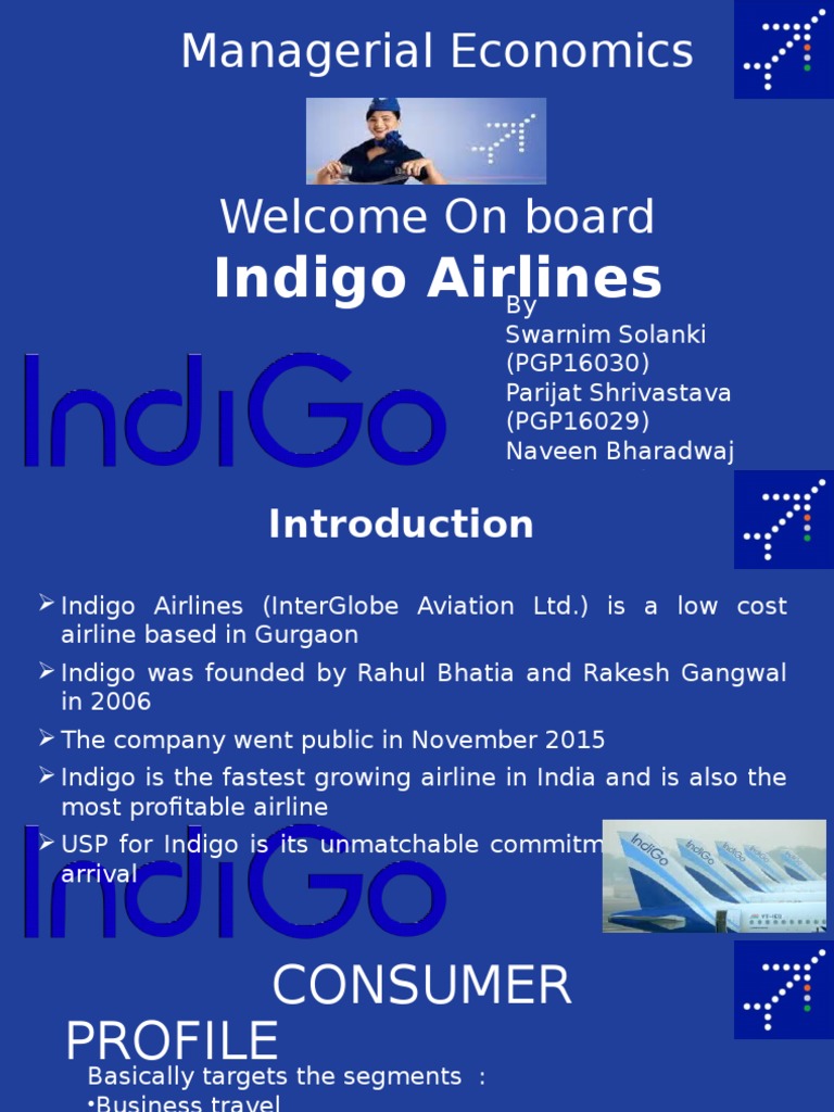 Indigo airlines marketing plan tourism essay 07 picture