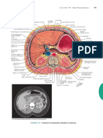 Surgical Anatomy and Approaches 2014