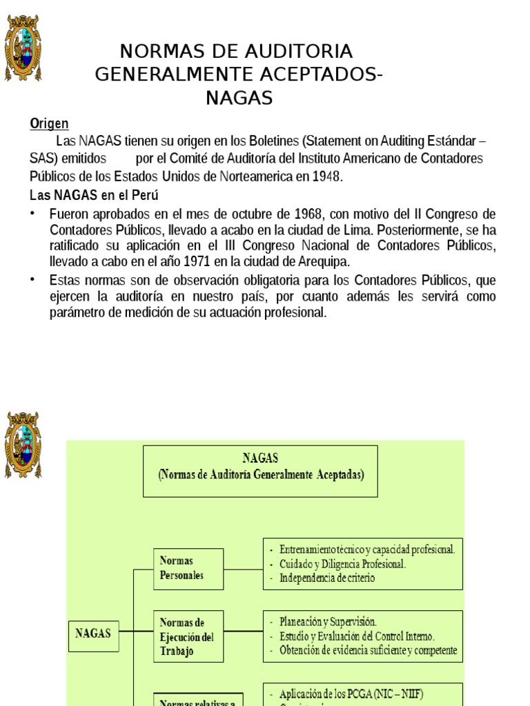 Normas NAGAS en Auditoría y Contabilidad | PDF | Auditoría financiera ...