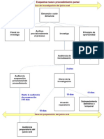 Esquema-Nuevo-codigo-procesal-penal-chile.pdf