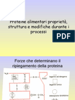 2 Proteine Alimentari