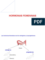 15 Hormonas Fe Meninas