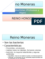 Reinos Moneras, Protoctistas y Hongos - 1º ESOB