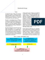 gestion_de_riesgo.pdf