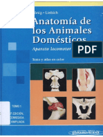 Anatomia de Los Animales Domesticos - Konig - Tomo I