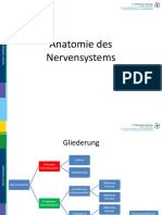 Biopsychologie - Anatomie Des Nervensystems 20062015 - Praesentation