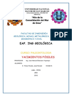 YACIMIENTOS-FOSILES