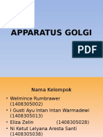 STRUKTUR GOLGI