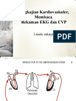 Pengkajian Jantung, Membaca Ekg Dan CVP