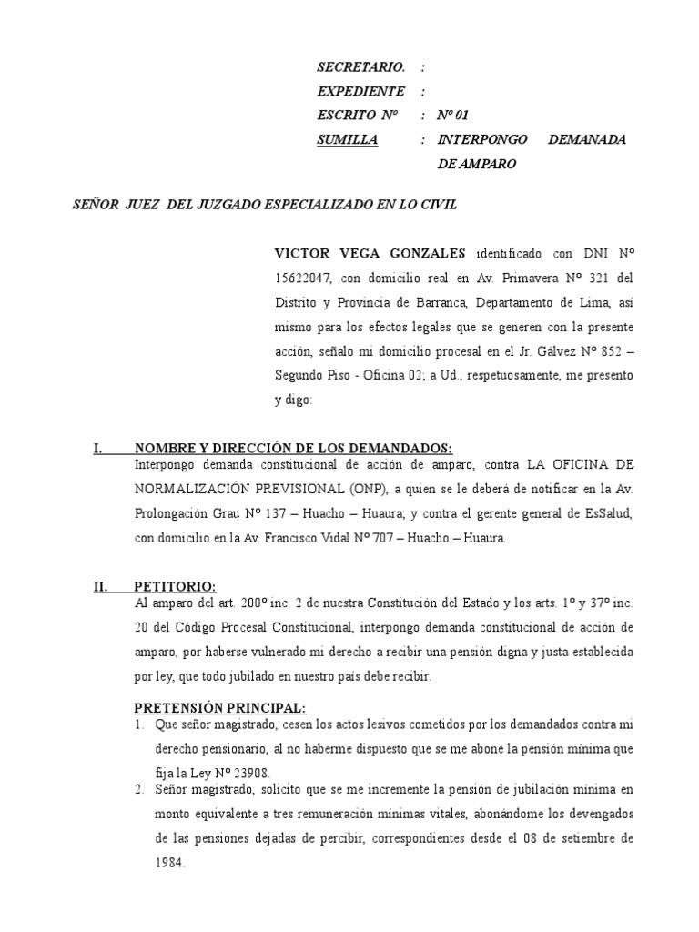 Demanda de Amparo por Pensión Digna | PDF | Demanda judicial | Pensión