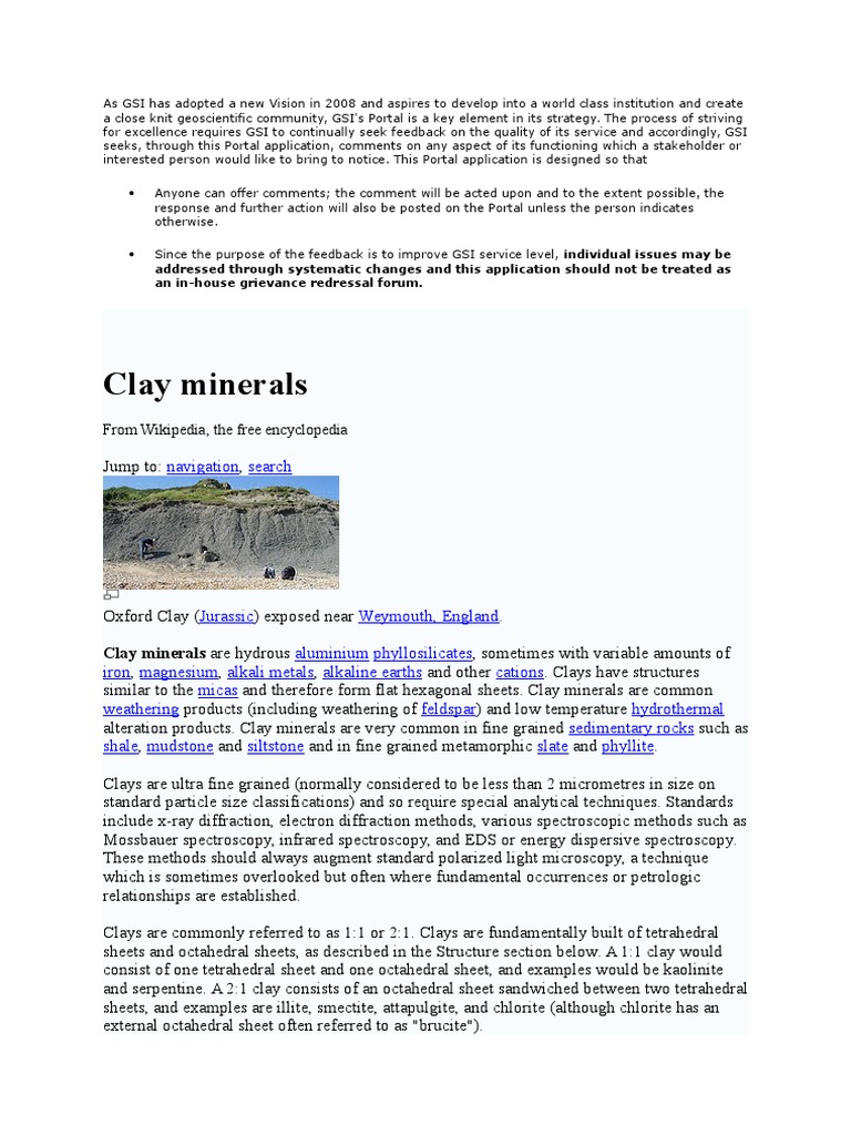 Clay Minerals PDF Clay Minerals Clay