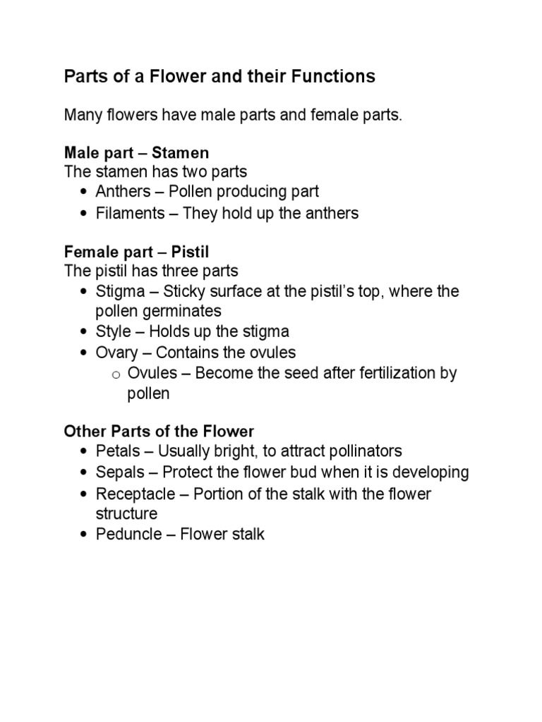 Parts Of A Flower And Their Functions Flowers Seed