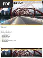 Sap Lumira SDK