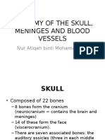 Anatomy of the Skull, Meninges and Blood
