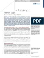 Mechanisms of Aneuploidy in Human Eggs