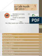 Emergency case report June 27-28 2013