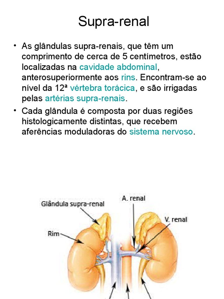 Hiperplasia Da Supra Renal | Glándula suprarrenal | Cortisol