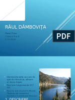 Raul Dambovita Proiect Popa Matei