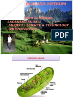 Presentation by Chirag Sadanand Kudale Subject: Science & Technology (Mitochondria)