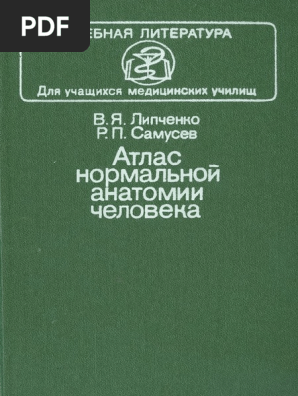 Атлас Нормальной Анатомии Человека Липченко Самусев 1989 | PDF
