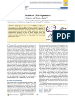 Research Journal DNA Polymerase