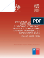 directrices-especificas-sistemas-silice-2013.pdf