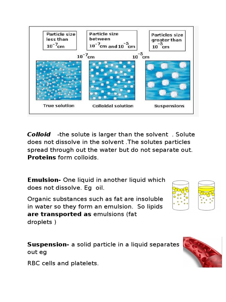 Colloid - The Solute Is Larger Than The Solvent - Solute: Proteins Form ...