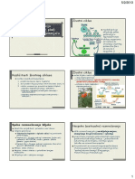 Izmjena+generacija +cvijet +razmnozavanje+biljka +plod+2013-14