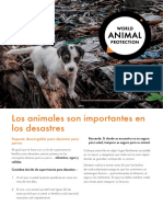 14-007_wspa_disaster_pack_dogs_v3-spa.pdf