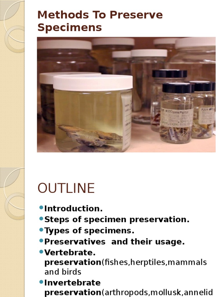 What Liquid Is Used To Preserve Specimens Definition