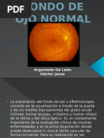 Reporte de Fondo de Ojo
