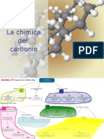 La Chimica Del Carbonio