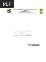 Relatório Linhas de Campo Magnético 