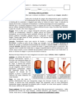 Sistema circulatório - 5o ano